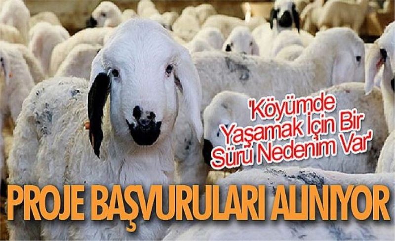 Proje başvuruları alınıyor