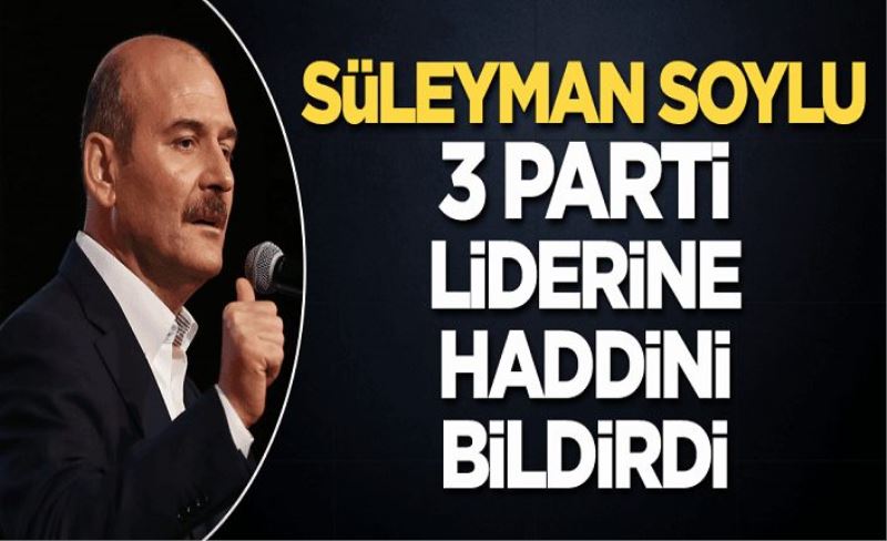 Süleyman Soylu 3 parti liderine haddini bildirdi!