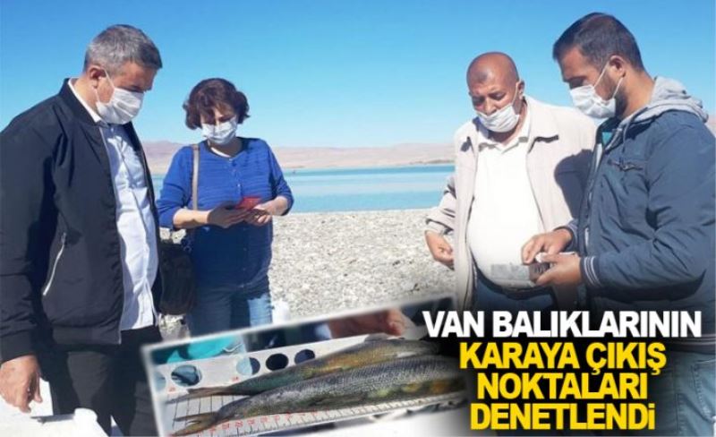 Van balıklarının karaya çıkış noktaları denetlendi