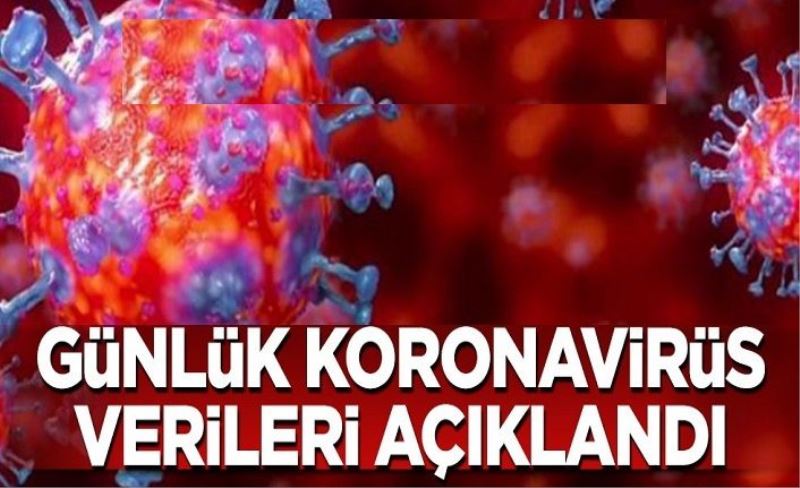 19 Kasım koronavirüs tablosu! Hasta, ölü sayısı ve son durum açıklandı