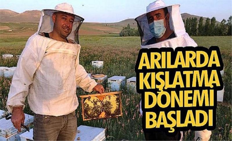 Arılarda kışlatma dönemi başladı