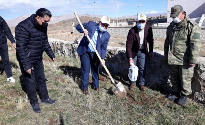 Çaldıran'da 500 bin ağaç toprakla buluştu