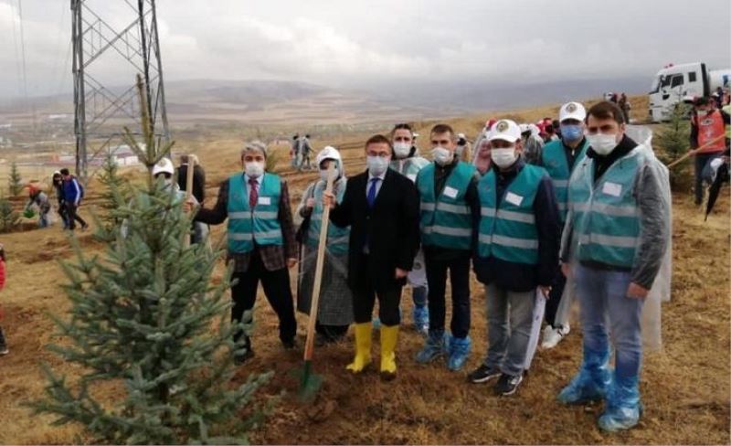 Hükümlü ve yükümlüler fidan dikerek topluma kazandırılıyor