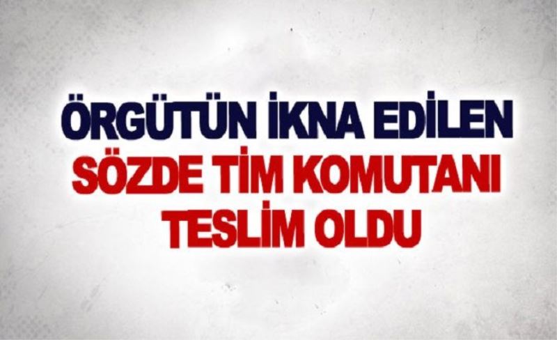 Örgütün ikna edilen sözde tim komutanı teslim oldu