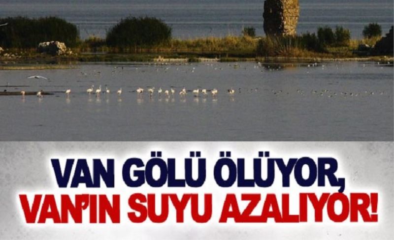 Van Gölü ölüyor, Van’ın suyu azalıyor!