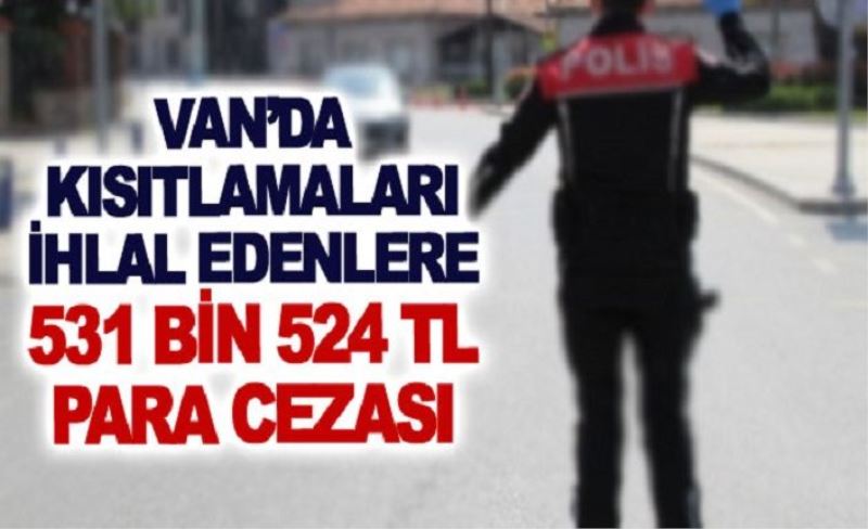 Van’da kısıtlamaları ihlal edenlere 531 bin 524 TL para cezası