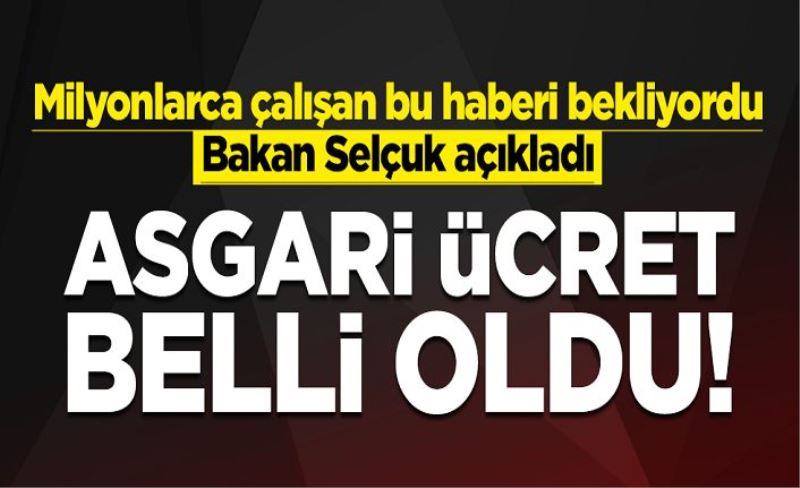 Bakan Selçuk açıkladı! Asgari Ücret 2825 TL oldu