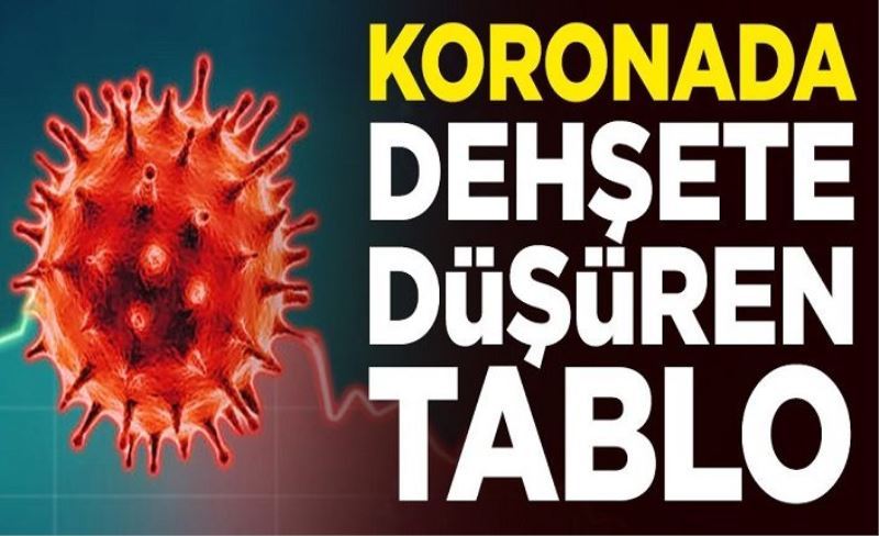 Dünya genelinde koronavirüs vaka sayısı 81 milyon 145 bini geçti