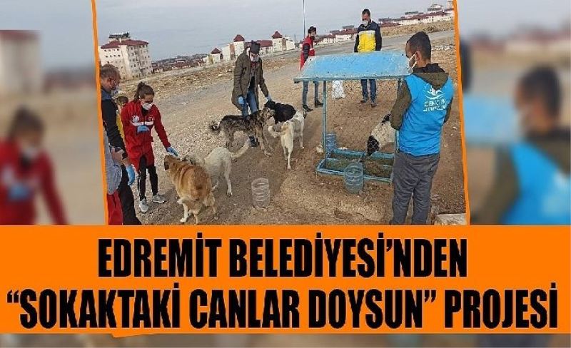 Edremit Belediyesi’nden “sokaktaki canlar doysun” projesi