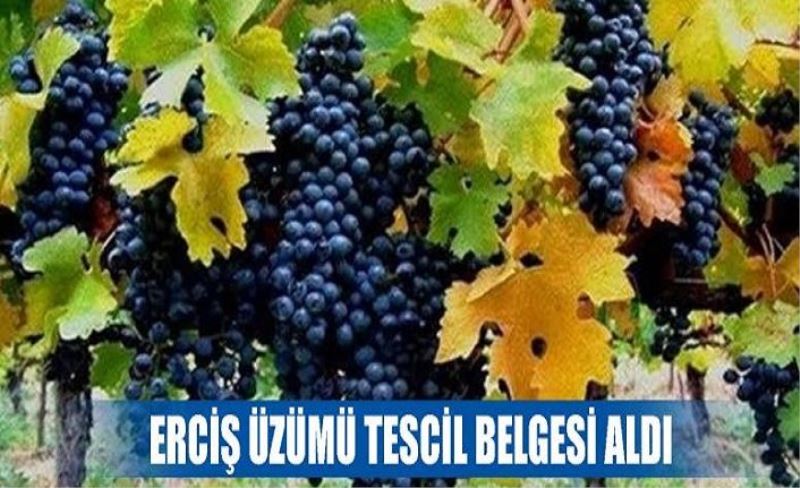 Erciş üzümü tescil belgesi aldı