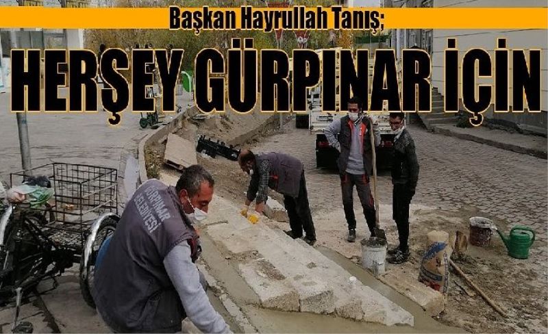 Gürpınar Belediye Başkanı Hayrullah Tanış; Her şey Gürpınar için