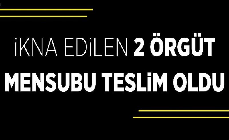 İkna edilen 2 örgüt mensubu teslim oldu