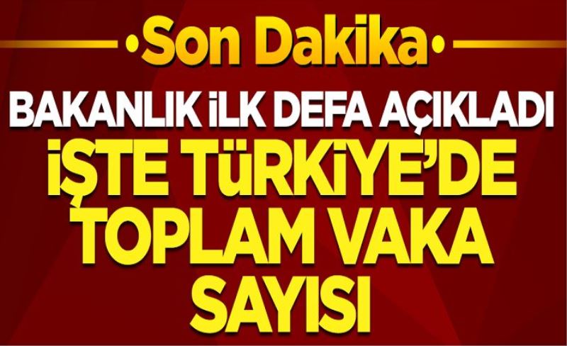 İlk kez açıklandı: Sağlık Bakanlığı toplam vaka sayısını ilk kez açıklandı!