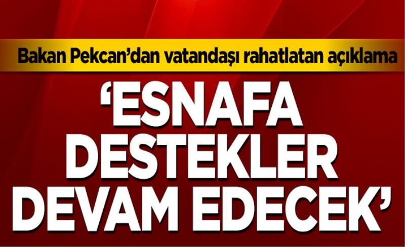 Ticaret Bakanı Ruhsar Pekcan: Esnaf ve sanatkarlara destekler devam edecek