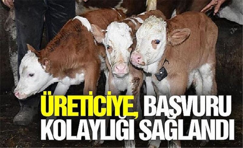 Üreticiye, başvuru kolaylığı sağlandı