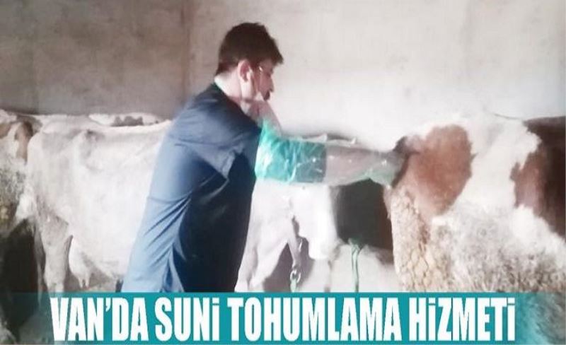 Van’da suni tohumlama hizmeti