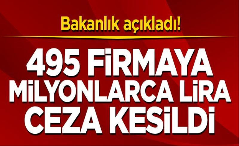 Bakanlık açıkladı! 495 firmaya milyonlarca lira fahiş fiyat ceza kesildi