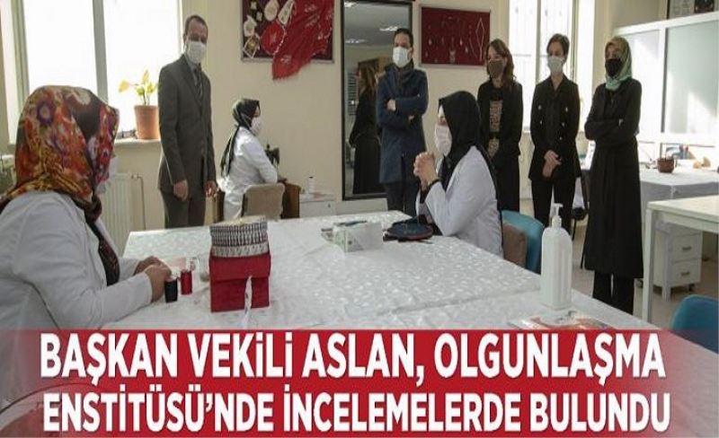 Başkan Vekili Aslan, Olgunlaşma Enstitüsü’nde incelemelerde bulundu