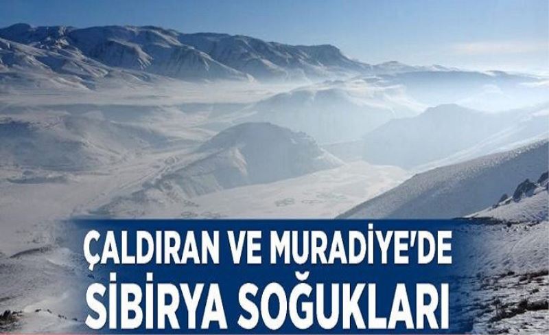 Çaldıran ve Muradiye'de Sibirya soğukları