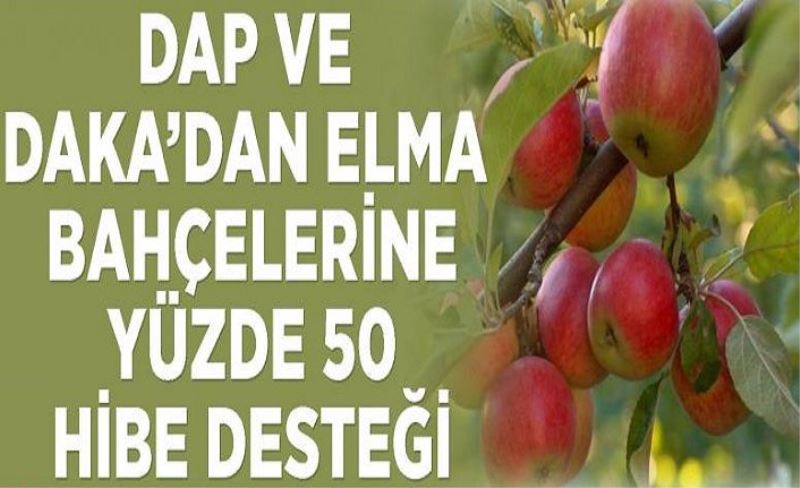 DAP ve DAKA’dan elma bahçelerine yüzde 50 hibe desteği