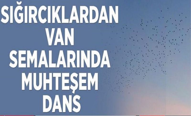 Sığırcıklardan Van semalarında muhteşem dans