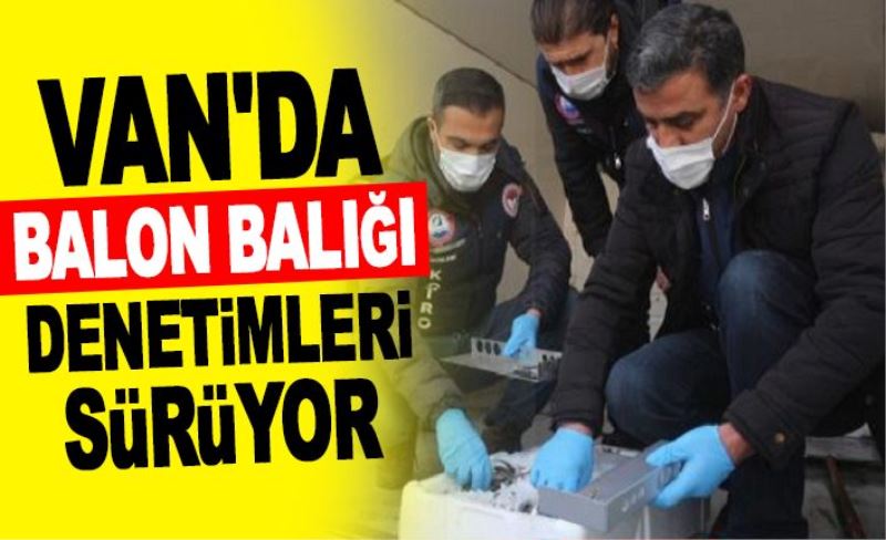 Van'da balon balığı denetimleri sürüyor