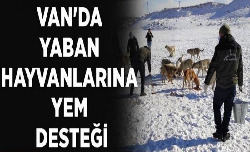 Van'da yaban hayvanlarına yem desteği