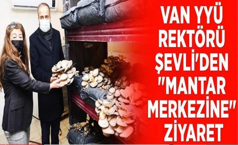 Van YYÜ Rektörü Şevli'den "mantar merkezine" ziyaret