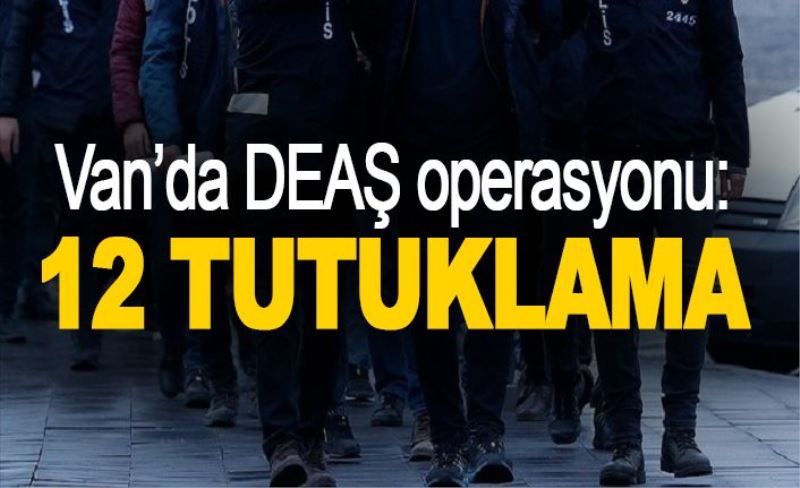 Van’da DEAŞ operasyonu: 12 tutuklama