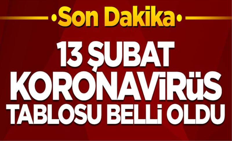 13 Şubat koronavirüs tablosu belli oldu! İşte vaka sayısı, can kaybı...