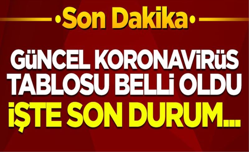 16 Şubat koronavirüs tablosu! Vaka, Hasta, ölü sayısı ve son durum açıklandı