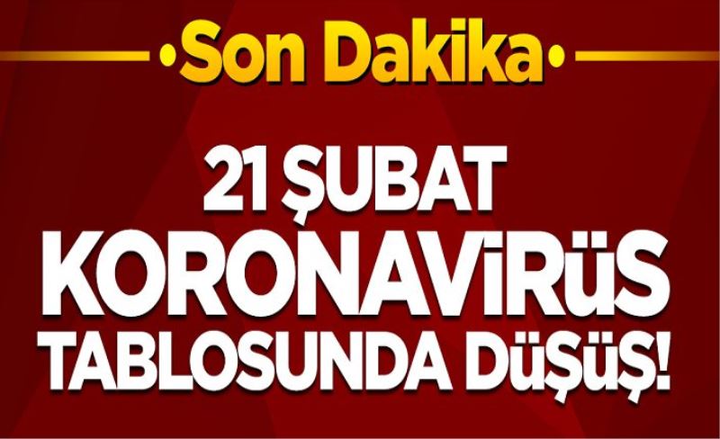 21 Şubat koronavirüs tablosu! Vaka, Hasta, ölü sayısı ve son durum açıklandı