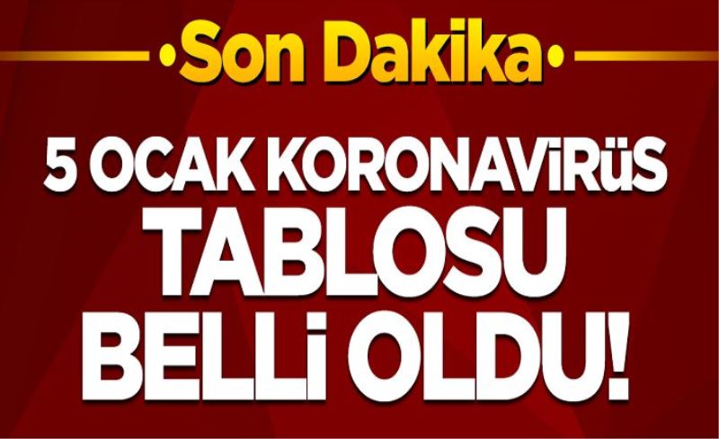 5 Şubat koronavirüs tablosu! Vaka, Hasta, ölü sayısı ve son durum açıklandı