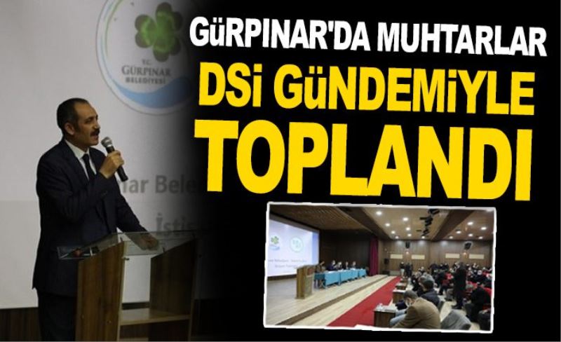 Gürpınar'da muhtarlar DSİ gündemiyle toplandı