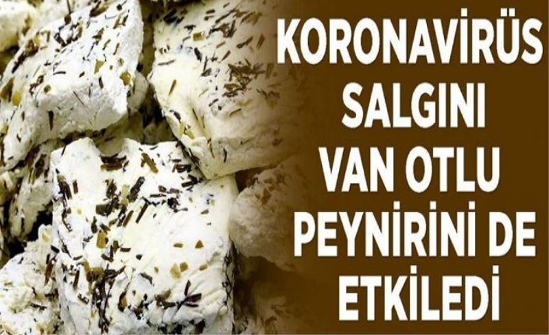 Koronavirüs Van otlu peynirini de etkiledi