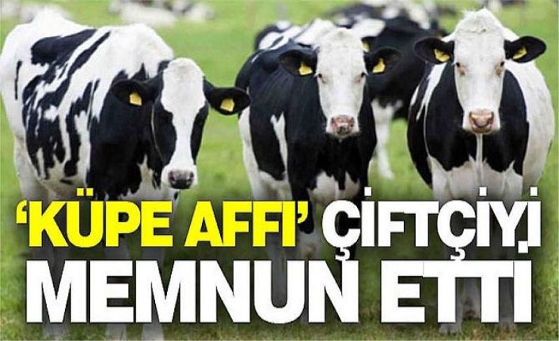 ‘Küpe Affı’ çiftçiyi memnun etti