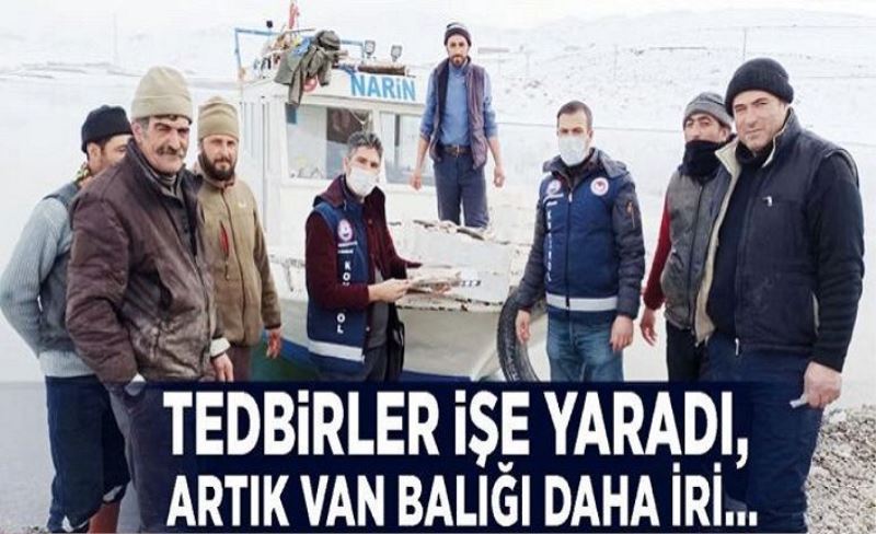 Tedbirler işe yaradı, artık Van Balığı daha iri…