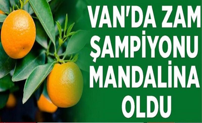 Van'da zam şampiyonu mandalina oldu