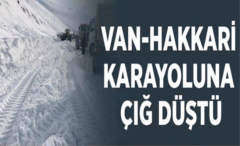 Van-Hakkari karayoluna çığ düştü