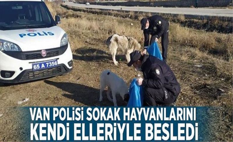 Van polisi sokak hayvanlarını kendi elleriyle besledi