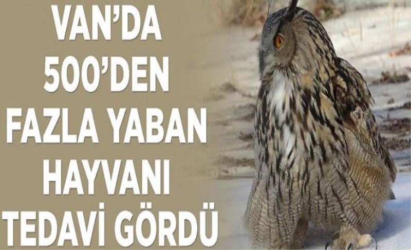 Van’da 500’den fazla yaban hayvanı tedavi gördü