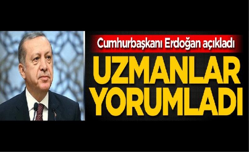 Cumhurbaşkanı Erdoğan açıkladı, uzmanlar yorumladı