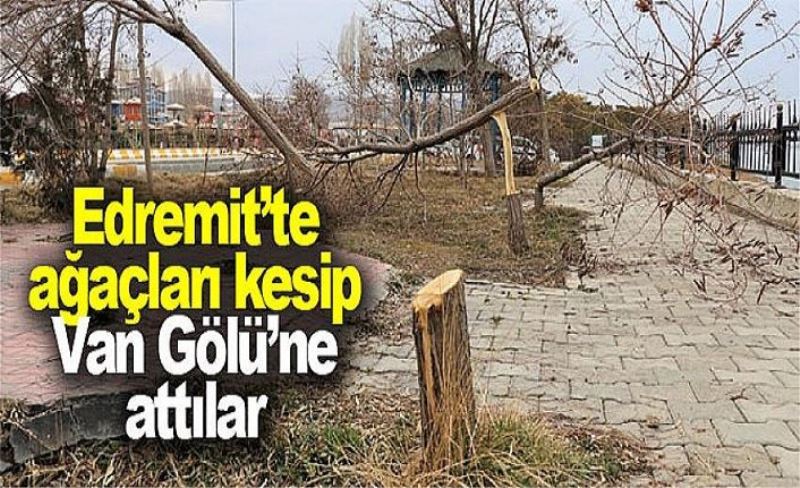 Edremit’te ağaçları kesip Van Gölü’ne attılar