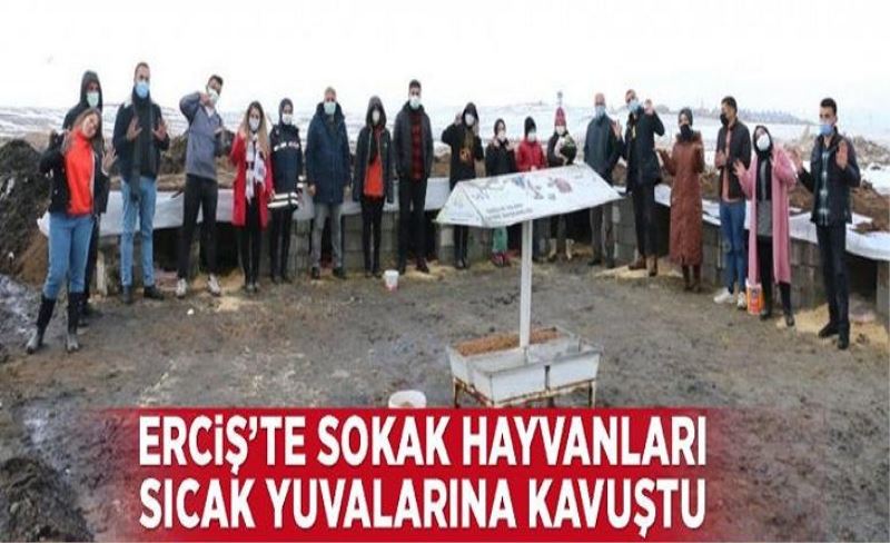 Erciş’te sokak hayvanları sıcak yuvalarına kavuştu