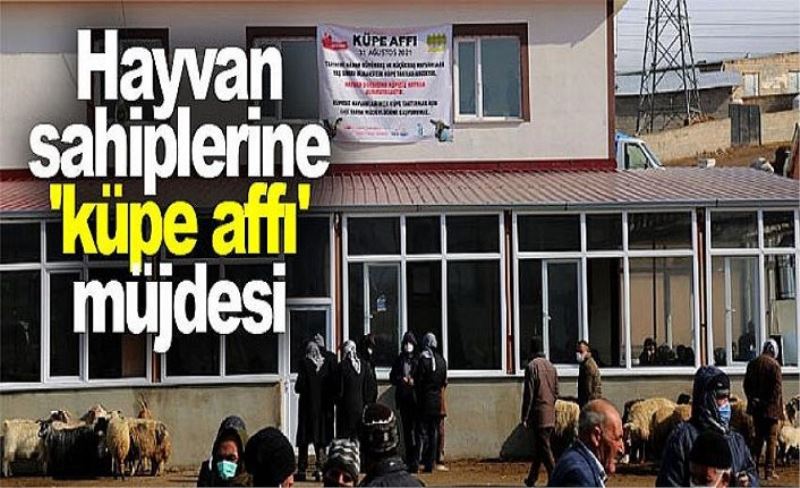 Hayvan sahiplerine 'küpe affı' müjdesi