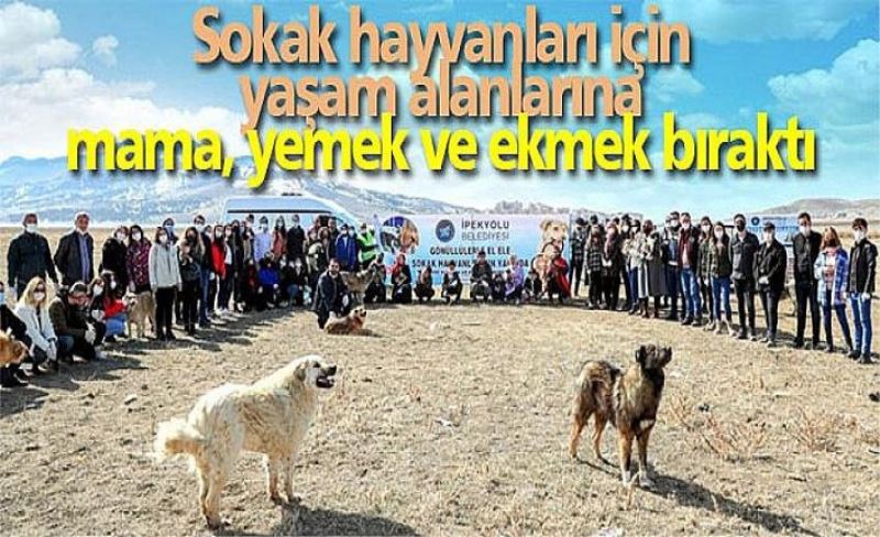 İpekyolu Belediyesi sokak hayvanlarını unutmadı