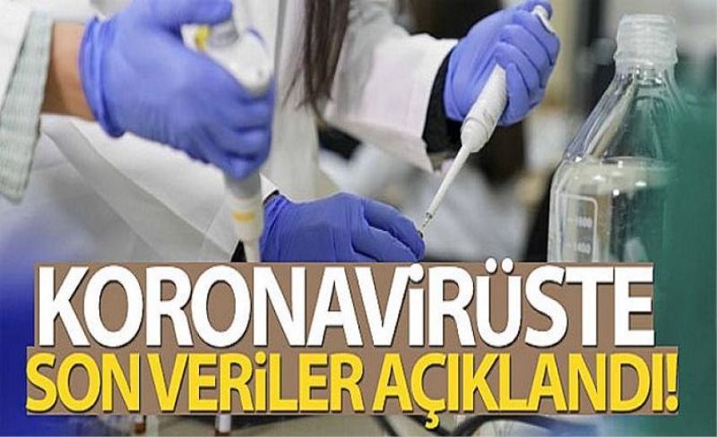 Türkiye'de son 24 saatte 11.302 koronavirüs vakası tespit edildi