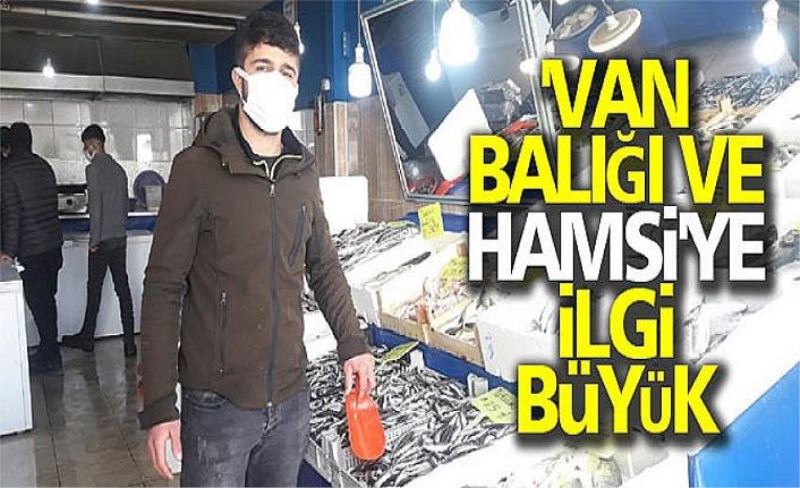 'Van Balığı ve Hamsi'ye ilgi büyük