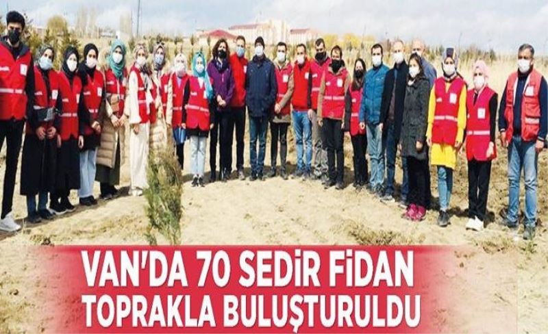 Van'da 70 sedir fidan toprakla buluşturuldu