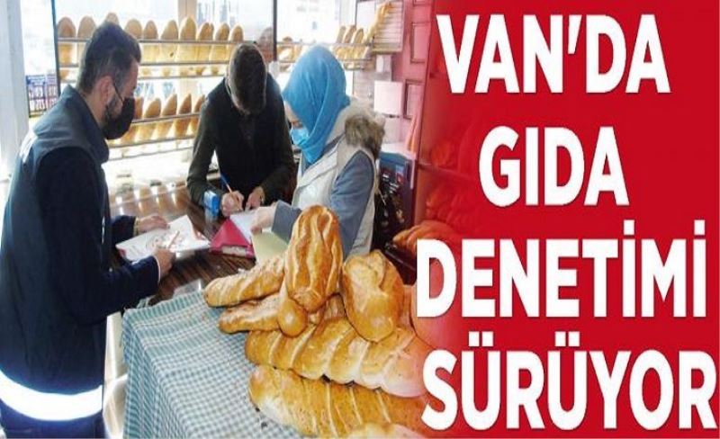 Van'da gıda denetimi sürüyor